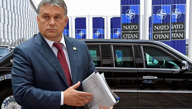 Ungarns Ministerpräsident Viktor Orban möchte mit Russland und China Geschäfte machen und gerät mit seiner Position offenbar in Konflikt mit der NATO-Führungsmacht USA. (Bild: APA/AFP/Brendan Smialowski, EPA, krone.at-Grafik)