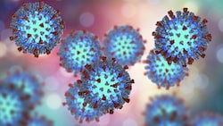 So sieht das Masern-Virus aus. (Bild: stock.adobe.com)