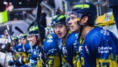 Die Zeller Eisbären brauchen fürs Play-off wohl eine perfekte Bilanz bis zum Ende des Grunddurchgangs. (Bild: Johannes Radlwimmer)