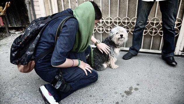 Iranischen Hundebesitzern, die sich mit ihren Vierbeinern auf öffentliche Plätze wagen, drohen empfindliche Strafen. (Bild: AFP)