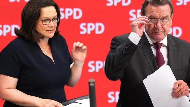 Frontalangriff auf die SPD-Chefin: SPD-Altkanzler Gerhard Schröder sprach Andrea Nahles Kompetenzen ab. (Bild: AFP, APA/dpa/Bernd von Jutrczenka, krone.at-Grafik)