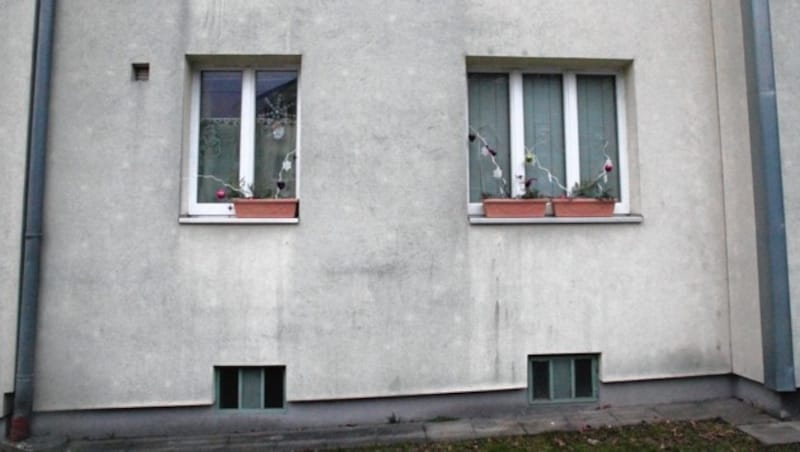 An den Fenstern der Wohnung der Toten in Hietzing ist noch die Weihnachtsdekoration zu sehen. (Bild: Andreas Schiel)