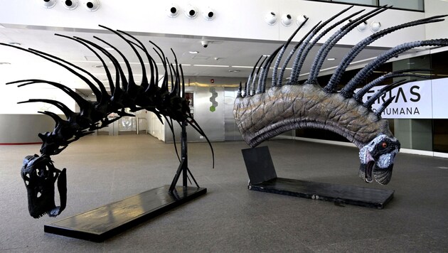 Nachbildungen des Bajadasaurus pronuspinax: Die Funktion der Stacheln ist unter Paläontologen umstritten. (Bild: AFP)