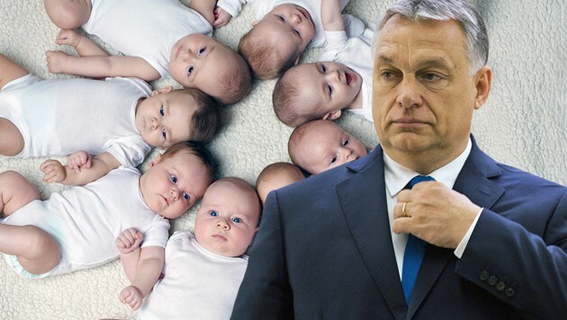 Ungarns Ministerpräsident Viktor Orban will keine Migration in sein Land, sondern die Geburtenrate mit einem Familienförderprogramm heben. (Bild: stock.adobe.com, AP, krone.at-Grafik)