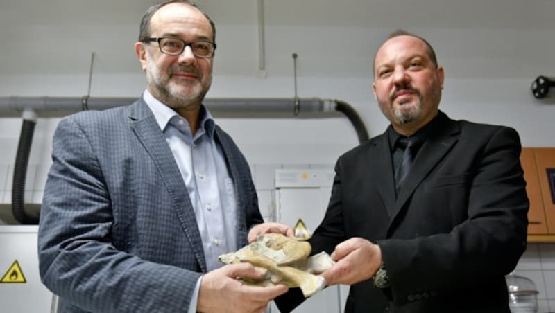 NHM-Direktor Christian Köberl (l.) und der Leiter der Paläontologie, Mathias Harzhauser, mit Überresten eines 210 Mio. Jahre alten Plateosauriers (Bild: APA/HERBERT NEUBAUER)