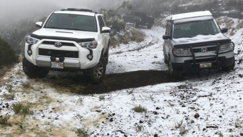 Der Polipoli-Nationalpark auf der Insel Maui soll zum ersten Mal Schnee gesehen haben. (Bild: Lance Endo via AP)