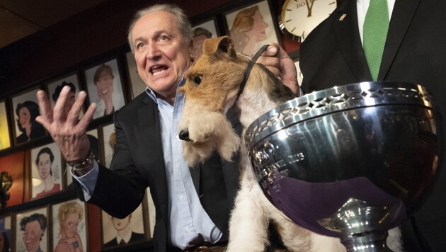 „King“ mit seinem Besitzer Victor Malzone (Bild: The Associated Press)