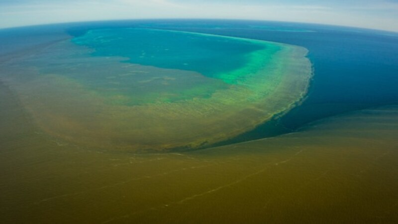 Die braune Brühe nahe Townsville und dem der Stadt vorgelagerten Riff (Bild: AFP/Matt Curnock)