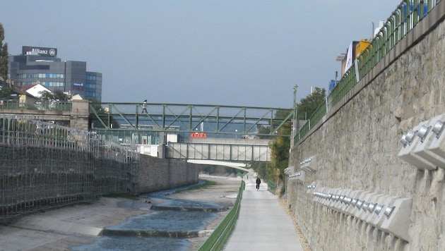 Der Wienfluss auf Höhe Kennedybrücke (Bild: APA/THOMAS RIEDER)