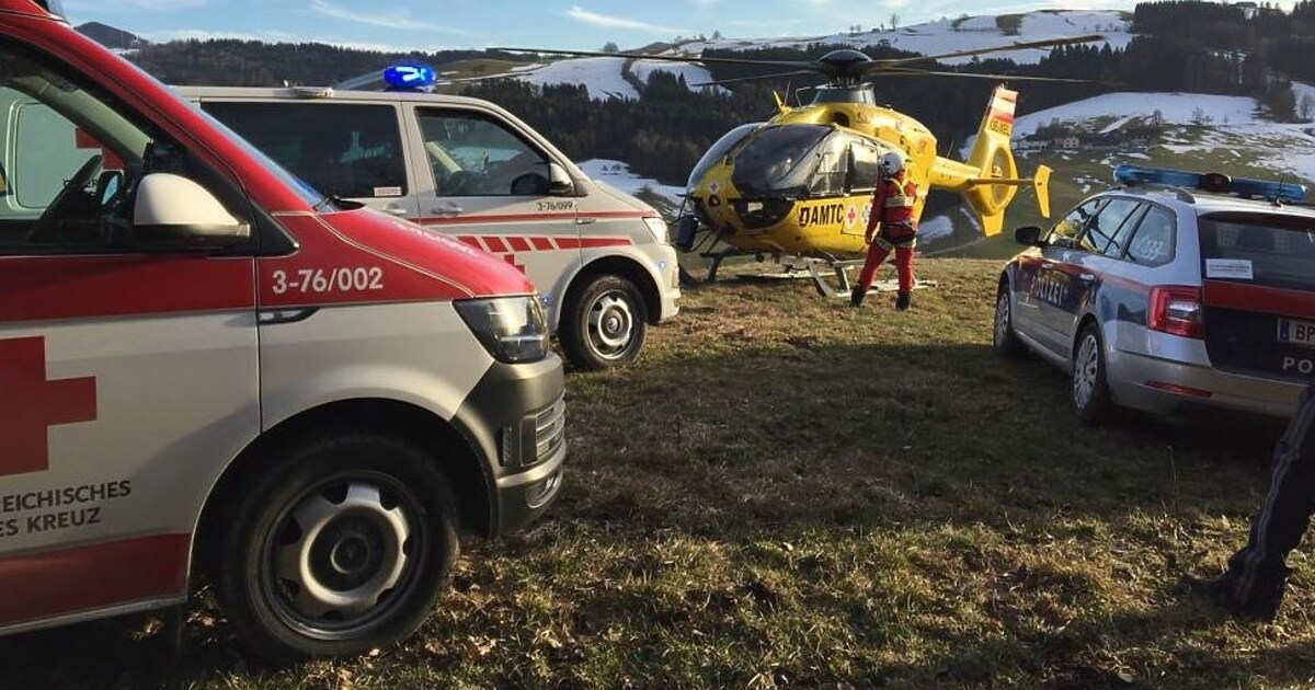 Helikopter Im Einsatz - Forstarbeiter Von Baum Getroffen – Schwer ...