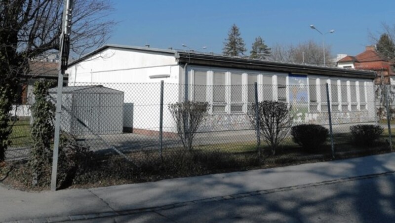 Mäuseplage in der Volksschule Löwenschule in Wien 22 (Bild: Gerhard Bartel)