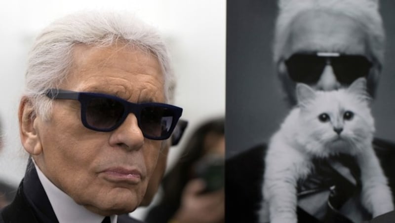 Lagerfeld und seine „Choupette“ (Bild: AFP)