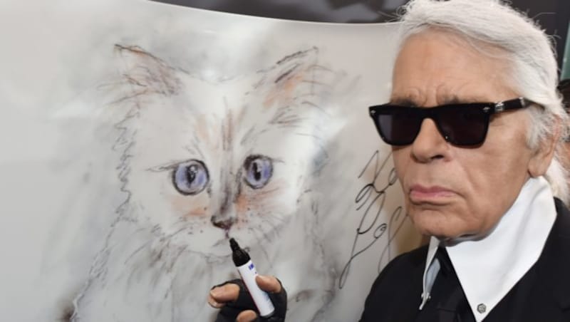 Modedesigner Karl Lagerfeld steht bei der Vernissage „Corsa Karl und Choupette“ für seinen Fotokalender im Palazzo Italia an einer Zeichnung seiner Birma-Katze. Für den Kalender hatte Lagerfeld seine „Choupette“ an und in einem Opel fotografiert. (Bild: APA/dpa-Zentralbild/Jens Kalaene)