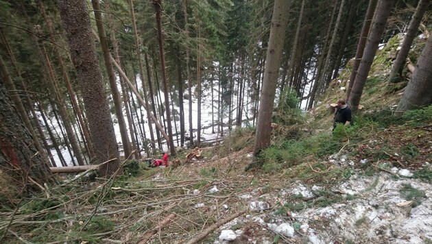 Wieder kam es im Wald zu einer Tragödie (Symbolbild). (Bild: Rotes Kreuz Bruck-Mürzzuschlag/Klammer)