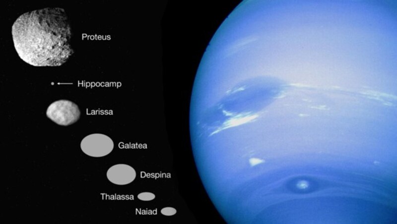 Ein Größenvergleich der sieben inneren Monde des Planeten Neptun (Bild: SETI/Mark Showalter, NASA/ESA, krone.at-Grafik)