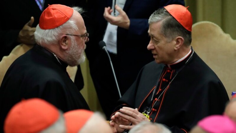 Der Vorsitzende der deutschen Bischofskonferenz, Kardinal Reinhard Marx (li.), mit dem Erzbischof von Chicago, Kardinal Blase J. Cupich (Bild: AFP)