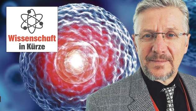 Salzburger Zelltherapeut Prof. Dr. Dirk Strunk (Bild: peterschreiber.media / stock.adobe.com)