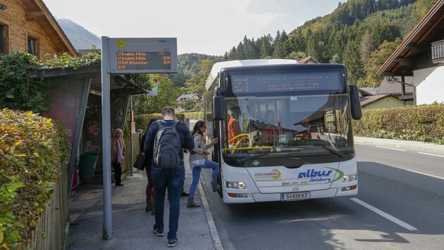 Die bisherigen Albusse werden durch E-Busse nach und nach ersetzt. (Bild: Markus Tschepp)
