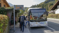 Albus-Bus im Salzburger Öffi-Nahverkehr (Bild: Markus Tschepp)