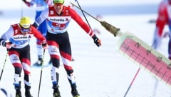 Die beiden ehemaligen Skilangläufer wurden bei der Heim-WM in Seefeld 2019 des Dopings überführt. (Bild: GEPA, APA/dpa/Patrick Seeger, krone.at-Grafik)