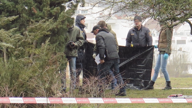 Krimininalisten untersuchten die Leiche im Linzer Donaupark (Bild: Markus Schuetz)