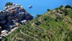 Die Cinque Terre zieht jährlich Millionen Touristen an. (Bild: AFP)