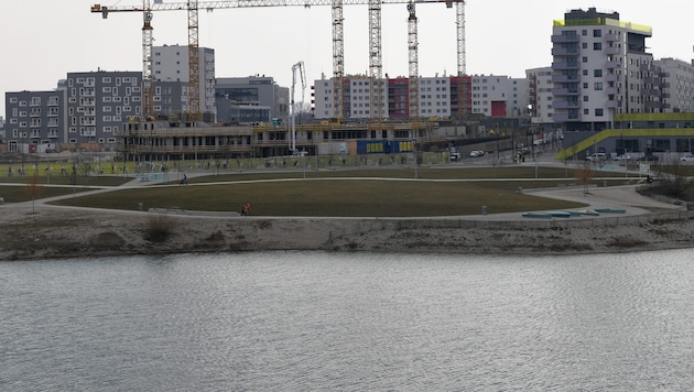 Die Seestadt Aspern (Bild: APA/ROLAND SCHLAGER)