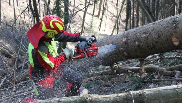 Az erdészeti munka számos veszélyt rejt magában. Kedden egy 18 éves fiatalember halt meg egy Frauenstein melletti erdőben. (Bild: SVB, Symbolbild)