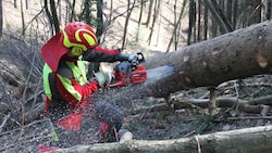 Schutzausrüstung sollte bei Forstarbeiten inzwischen selbstverständlich sein und kann Leben retten.   (Bild: SVB, Symbolbild)