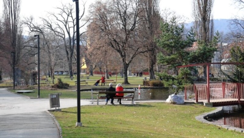 Im Volksgarten kam es zur Bluttat. (Bild: Christian Jauschowetz)