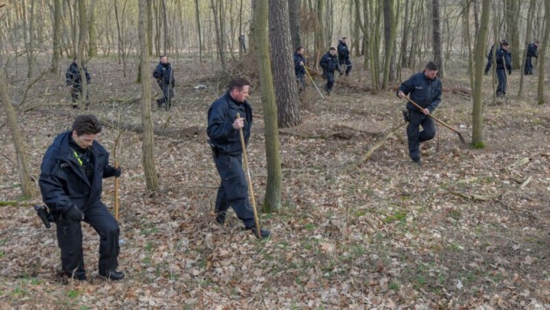 Eine Hundertschaft der Berliner Polizei sucht in einem Waldstück nach der vermissten Rebecca Reusch. (Bild: APA/dpa-Zentralbild/Patrick Pleul)