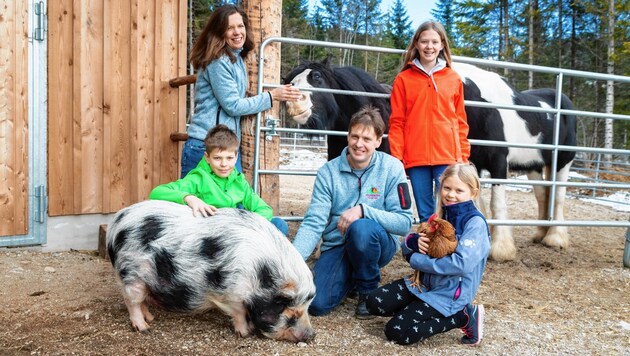 Am Hof der Familie Eder leben neben 70 Rindern auch Hängebauchschweine und Hühner. (Bild: Alexander Danner)
