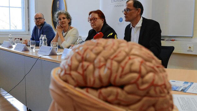 Die Wissenschafter Michael Leitner, Christine Bandtlow, Margarethe Hochleitner und Stefan Kiechl (v. li.). (Bild: Christof Birbaumer / Kronenzeitung)