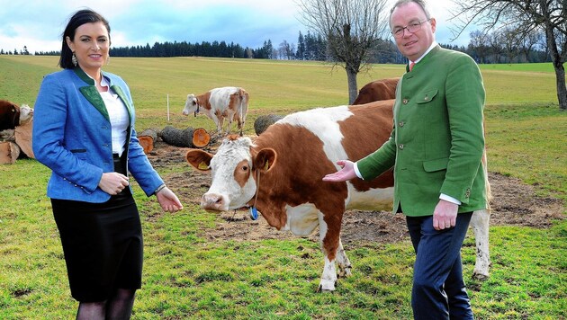 Landwirtschaftsministerin Elisabeth Köstinger und Niederösterreichs Landwirtschaftslandesrat und Landeshauptmannstellvertreter Stephan Pernkopf (beide ÖVP) bei Milchbauern auf der Alm (Bild: Crepaz Franz)