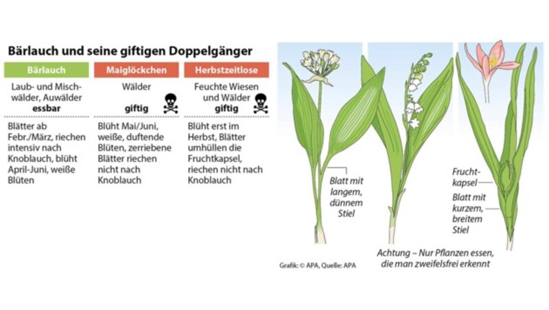 (Bild: APA, krone.at-Grafik)