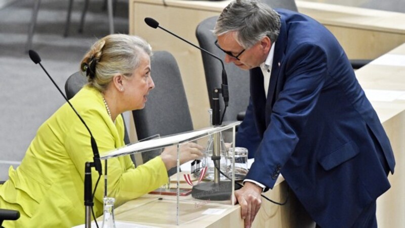 Die aktuelle Ministerin und ihr Vorgänger: Beate Hartinger-Klein und Alois Stöger (Bild: APA/HANS PUNZ)