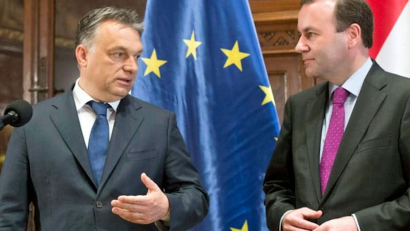 Ungarns Regierungschef Viktor Orban (li.) und Manfred Weber, Fraktionsvorsitzender der Europäischen Volkspartei (EVP) (Bild: Associates Press)