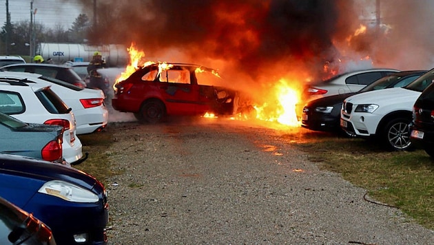 Fünf Autos sind Samstagfrüh auf einem Parkplatz in Schwechat ausgebrannt. (Bild: FF Schwechat)