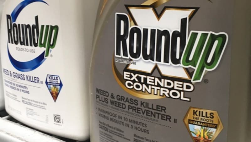 Das von Monsanto produzierte Unkrautvernichtungsmittel Roundup (Bild: AP)