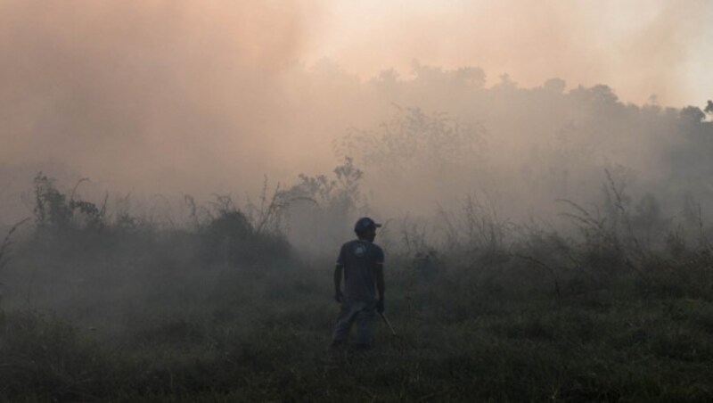 Riesige Amazonas-Waldflächen werden jährlich durch Feuer gerodet. (Bild: Greenpeace/Tommaso Protti)