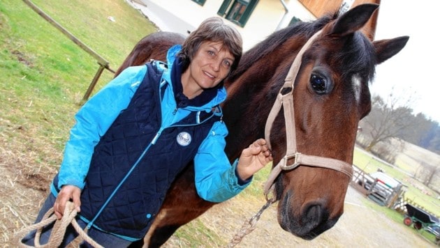 Ursula Haller saß einem dubiosen Pferdevermittler auf. (Bild: Josef Fürbass)