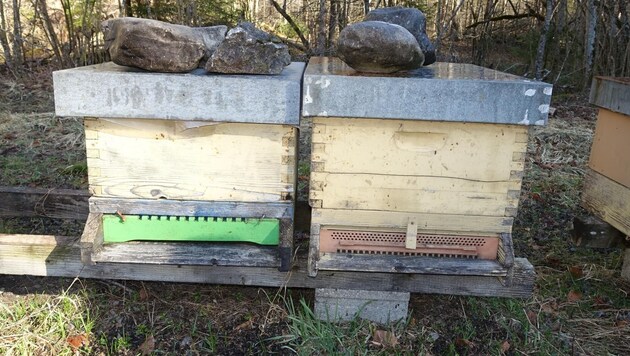Fünf Bienenstöcke dieser Art wurden geklaut (Bild: zvg)