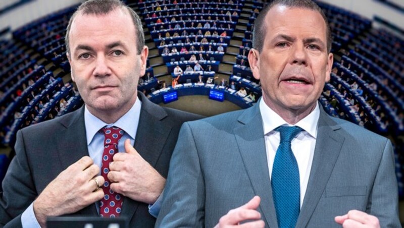 Manfred Weber (li.), Harald Vilimsky (Bild: APA/EPA/PATRICK SEEGER, APA/GEORG HOCHMUTH, AP, krone.at-Grafik)