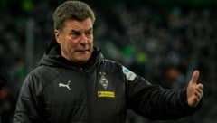 Dieter Hecking (Bild: AFP)