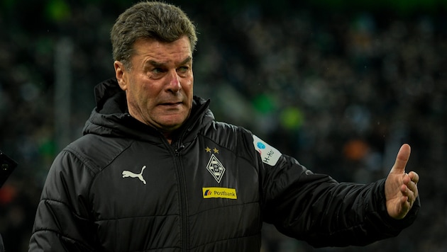 Dieter Hecking (Bild: AFP)