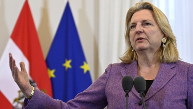 Außenministerin Karin Kneissl (Bild: APA/HANS PUNZ)