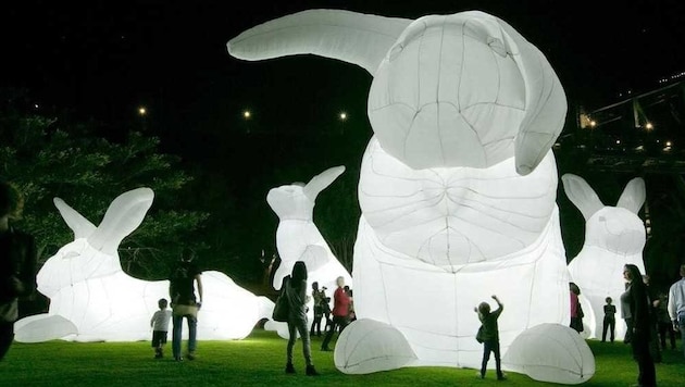 (Bild: Amanda Parer)