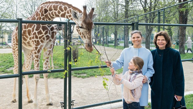Auch für einen Besuch im Tiergarten Schönbrunn war Zeit. (Bild: Daniel Zupanc)