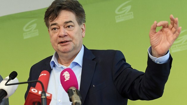 Grünen-Chef Werner Kogler will bei der EU-Wahl mehr als nur ein Mandat holen. (Bild: APA/HANS KLAUS TECHT)