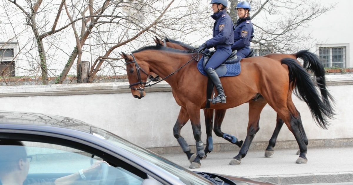 Auf Lärm Vorbereiten - Erster Probegalopp Für Die Berittene Polizei ...